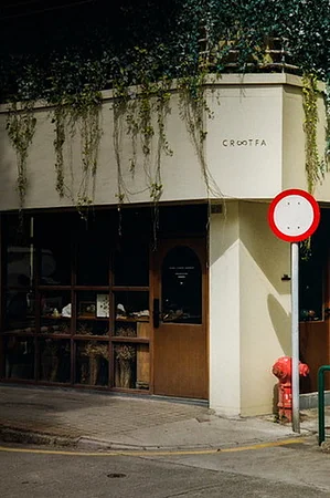 Sunlight falling across a quiet cafe corner with trailing greenery